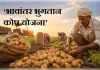 आलू का भाव गिरा तो किसानों को ‘भावांतर भुगतान कोष योजना’ से राहत