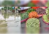 बाढ़ के बाद अब सब्जियों की महंगाई की मार, बिगड़ा घरेलू बजट