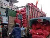 भारत सरकार ने नेपाल में प्याज के निर्यात पर लगाया प्रतिबंध,सीमा पर बढ़ी तस्करी