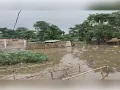 नेपाल में भारी बारिश से उफनाई मेची नदी, सीमावर्ती गांवों पर मंडराया कटाव का खतरा