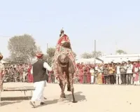 ऊंट मोहन पर सजा राम दरबार, हैरतअंगेज करतब देख उत्साहित हुए विदेशी सैलानी