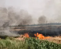 शार्टसर्किट से रहीमाबाद कृषि फार्म में लगी आग
