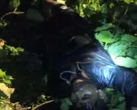 बीएसएफ की फायरिंग में बांग्लादेशी तस्कर ढेर, त्रिपुरा के लतियापुरा सीमा पर तनाव