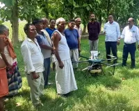 ड्रोन से छिड़काव कर किया पेड़ी और पौधों को रोग एवं कीट से बचाव  