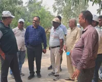  प्रबंध निदेशक ने निरीक्षण कर दिया पेड़ी प्रबंधन पर विशेष ध्यान देने की सलाह 