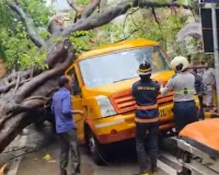 दर्दनाक हादसा: चलती स्कूल बस पर गिरा पेड़ , एक छात्रा की मौत, कई बच्चे घायल
