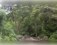 प्रशासन सख्त : भूमि विवादों के निस्तारण को लेकर सख्ती, आईजीआरएस प्रकरणों की होगी पुनः जांच