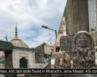  700 साल पुरानी जामा मस्जिद में हिंदू देवी-देवताओं और जैन तीर्थंकरों की मूर्तियां 