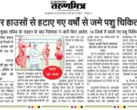 कागजों में बदली स्लॉटर हाउसो की तैनाती, लंबे समय से जमे डाक्टरों का ही जलवा बरकरार