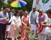 लखनऊ में रक्षामंत्री ने लगाया शमी का पौधा, पर्यावरण संरक्षण का दिया संदेश