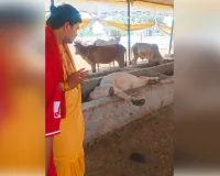 रामनगरिया गौशाला में मौत का मंजर, चरही में मृत गाय देख भड़के कथावाचक अवनीश मिश्रा
