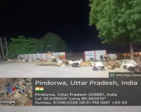गोवंश संरक्षण व्यवस्था को धता बता रहे जिम्मेदार, सड़कों पर घूम रहे निराश्रित गौवंश