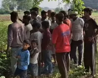 यूरिया लदी ट्रैक्टर ट्राली पलटी, चालक की मौत 