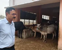 डीएम द्वारा स्थायी गौ आश्रय स्थल बढ़या ठाठर का किया गया निरीक्षण