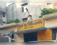 सदर पशु चिकित्सालय में अनियमितताओं की चर्चा, जांच की उठी मांग