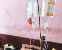 खेत पर चारा लेने गए युवक को जहरीले सांप ने डसा, डॉक्टरों की तत्परता से बची जान