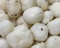 किसानों के लिए वाइट गोल्ड है यह मखाने की फसल