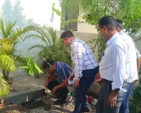 भातखण्डे विवि में विश्व पर्यावरण दिवस पर हुआ क्षारोपण