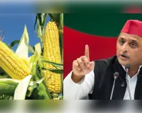 अखिलेश यादव का आरोप,सरकार ने बांटे मक्के के बीज, नहीं तैयार हुई फसल