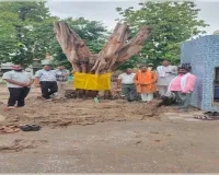 12 वर्ष पुराने पीपल के वृक्ष को मिला नया जीवन, विकास खंड परिसर में किया गया पुनर्स्थापित