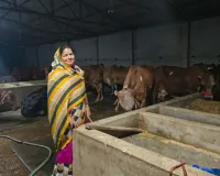 मोदी-योगी सरकार की नंदनी योजना से शकुंतला देवी बनीं स्वरोजगार की मिसाल, शुरू की डेयरी