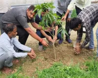 विजय मेमोरियल स्कूल ने रोपा हरियाली का बीज, पौधरोपण कर लिया पर्यावरण संरक्षण का संकल्प