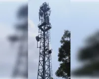  दुबई में रह रहे पति ने रिश्ता तोड़ने की कही बात, नाराज हाेकर विवाहिता मोबाइल टावर पर चढ़ी