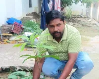 समाजसेवी अनुराग श्रीवास्तव ने किया पौधरोपण 