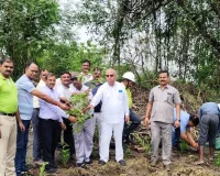 बजाज चीनी मिल रुधौली के द्वारा गेट से लेकर केंद्र तक चलाया गया वृहद वृक्षारोपण अभियान