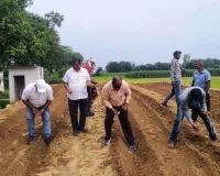 मानसून सत्र गन्ना बुवाई का हुआ भव्य शुभारंभ 