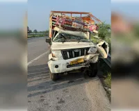  सड़क हादसे में सगे भाइयों की मौत, पिकअप चालक गंभीर घायल