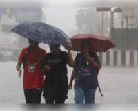 मध्य प्रदेश में मानसून पूरी तरह सक्रिय, आज 23 जिलों में भारी से अति भारी बारिश की चेतावनी