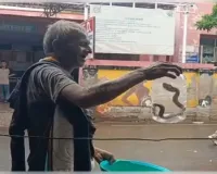 सांप ने काटा तो घायल युवक के साथ सांप को भी अस्पताल लेकर पहुंचे ग्रामीण, सब हैरान