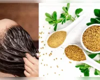  क्या है बालों में मेथी इस्तेमाल का सही तरीका?