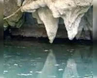 क्यों खास है तेहरान का 'पाताल लोक'