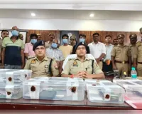 साइबर फ्रॉड गिरोह के 5 अंतर्राज्यीय अभियुक्तों को पुलिस ने किया गिरफ्तार