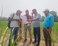 ग्राम स्तरीय गन्ना सर्वे सट्टा प्रदर्शन 20 जुलाई से शुरु, विभाग देगा योजना की जानकारी