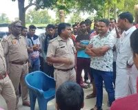 जंगली हाथियों का कहर: गन्ना-केले की फसल रौंदी,