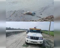 इंदिरा नहर में मिला अज्ञात अधेड़ युवक का शव, इलाके में मचा हड़कंप 