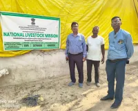 नेशनल लाइव स्टॉक मिशन से बदली किसान की तकदीर, बकरी पालन से आत्मनिर्भर बने अशोक यादव