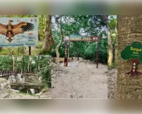 बाराबंकी में प्रकृति की नई सौगात, अगले ईको-पर्यटन सत्र में खुलेगा ईको-टूरिज्म स्थल