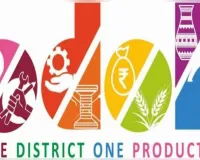 प्रदेश में ‘हुनर से आत्मनिर्भरता’ महा-अभियान शुरू, ODOP को मिलेगी नई पहचान