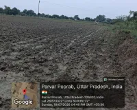 मानसून की बेरुखी से चिंता बढ़ी, धान के खेतों में पानी का संकट