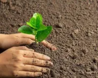 एक पेड़ मां के नाम वृक्षारोपण महाअभियान के तहत विश्वविद्यालय परिसर में पौधरोपण