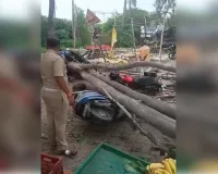 रेलवे क्रासिंग के पास यूके लिप्टिस का पेंड गिरने से दो वाहन क्षतिग्रस्त