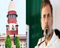 राहुल गांधी ने आय से अधिक संपत्ति के आरोपों को सुप्रीम कोर्ट में दी चुनौती