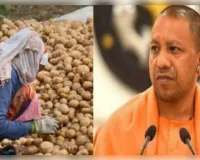 आलू किसानों के लिए यूपी सरकार ने लॉन्च किया नया पोर्टल