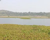  मप्र के विदिशा जिले का कागपुर क्षेत्र पक्षी कंजर्वेशन रिजर्व घोषित