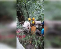 हिमाचल में बड़ा हादसा: दो युवक सवार ऑल्टो कार खाई में गिरी