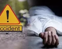 हापुड़ में गंगा एक्सप्रेसवे पर पलटी थार, चार युवकों की मौत